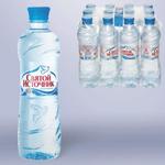 фото Вода негазированная питьевая "Святой источник", 0,5 л, пластиковая бутылка